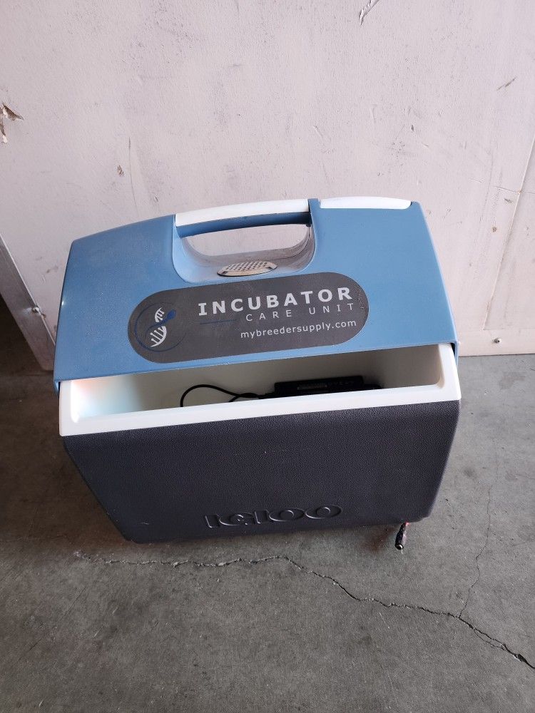 Small Animal Incubator