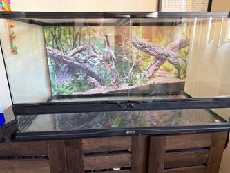 Enclosure 40 gallon