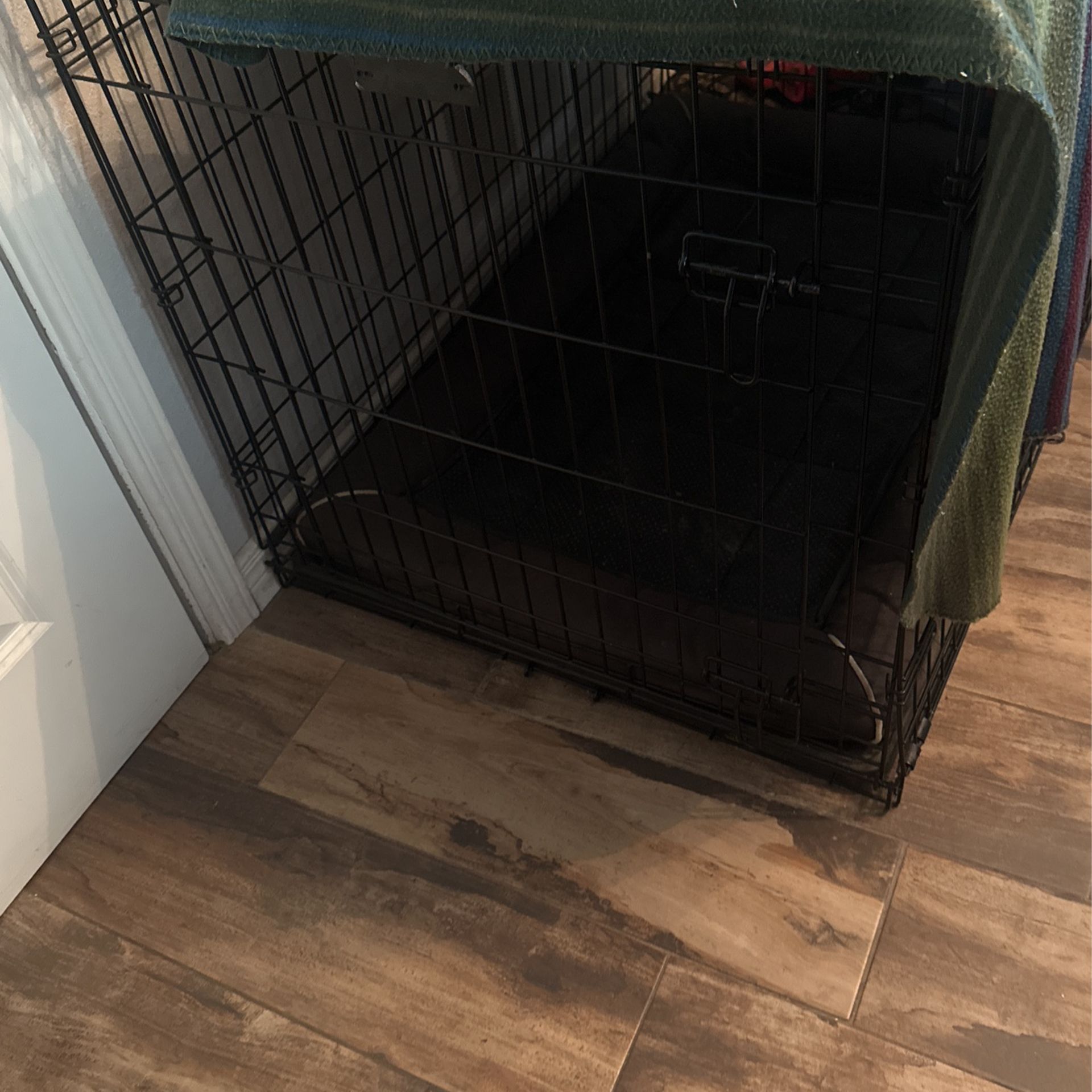 Dog Kennel