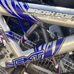 bike(s) for You to Clean, Fix, Sell(?)