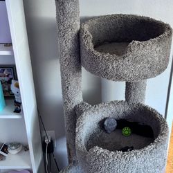 Cat Condo 