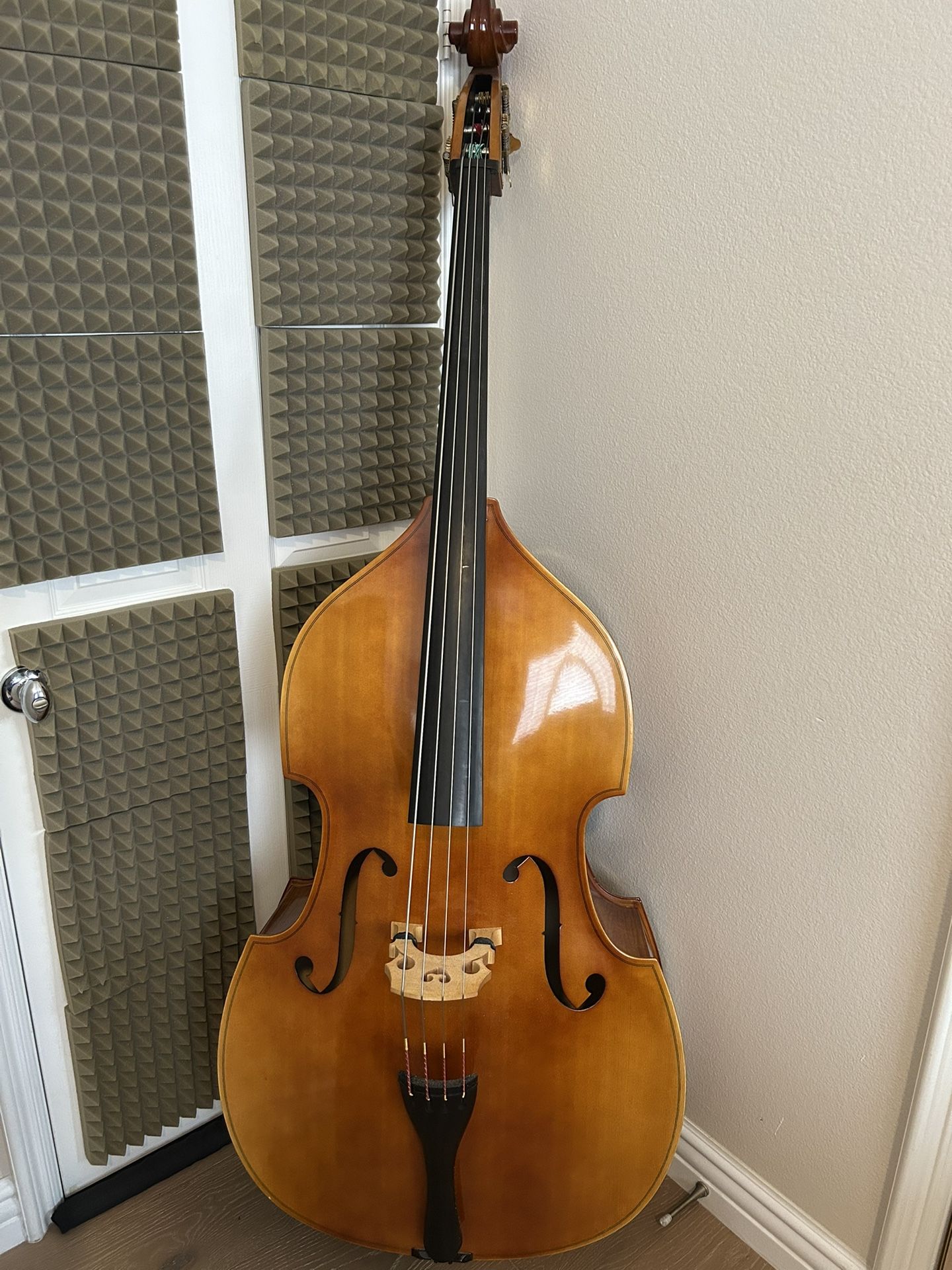 Stand Up Bass - Lemur Choice Laminated LIKE NEW