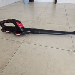 Leaf blower