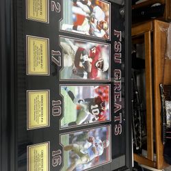 Framed Fsu Great Photo 