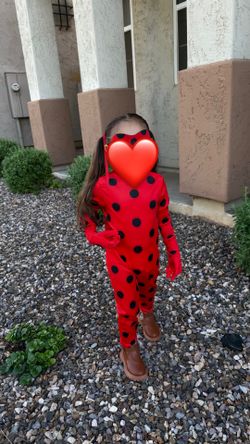 Lady bug Costume
