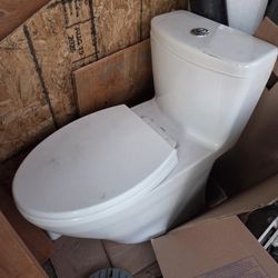 Toto 1-Piece Toilet