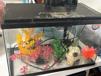 Fish tank