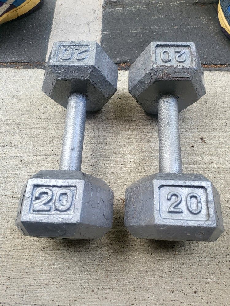 Pair Of 20lb Dumbbells 