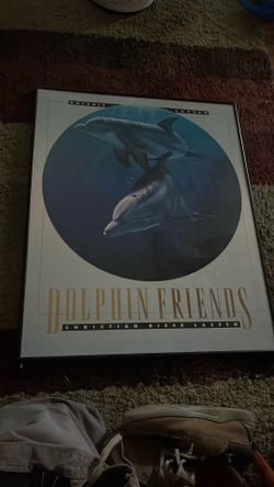 Dolphins 