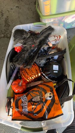 Halloween  decor