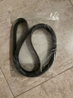 2013 Freightliner Cascadia Serpentine Belt (New )