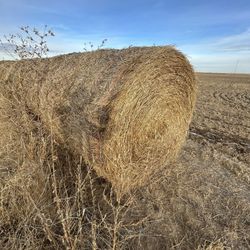 Round Bails For Sail