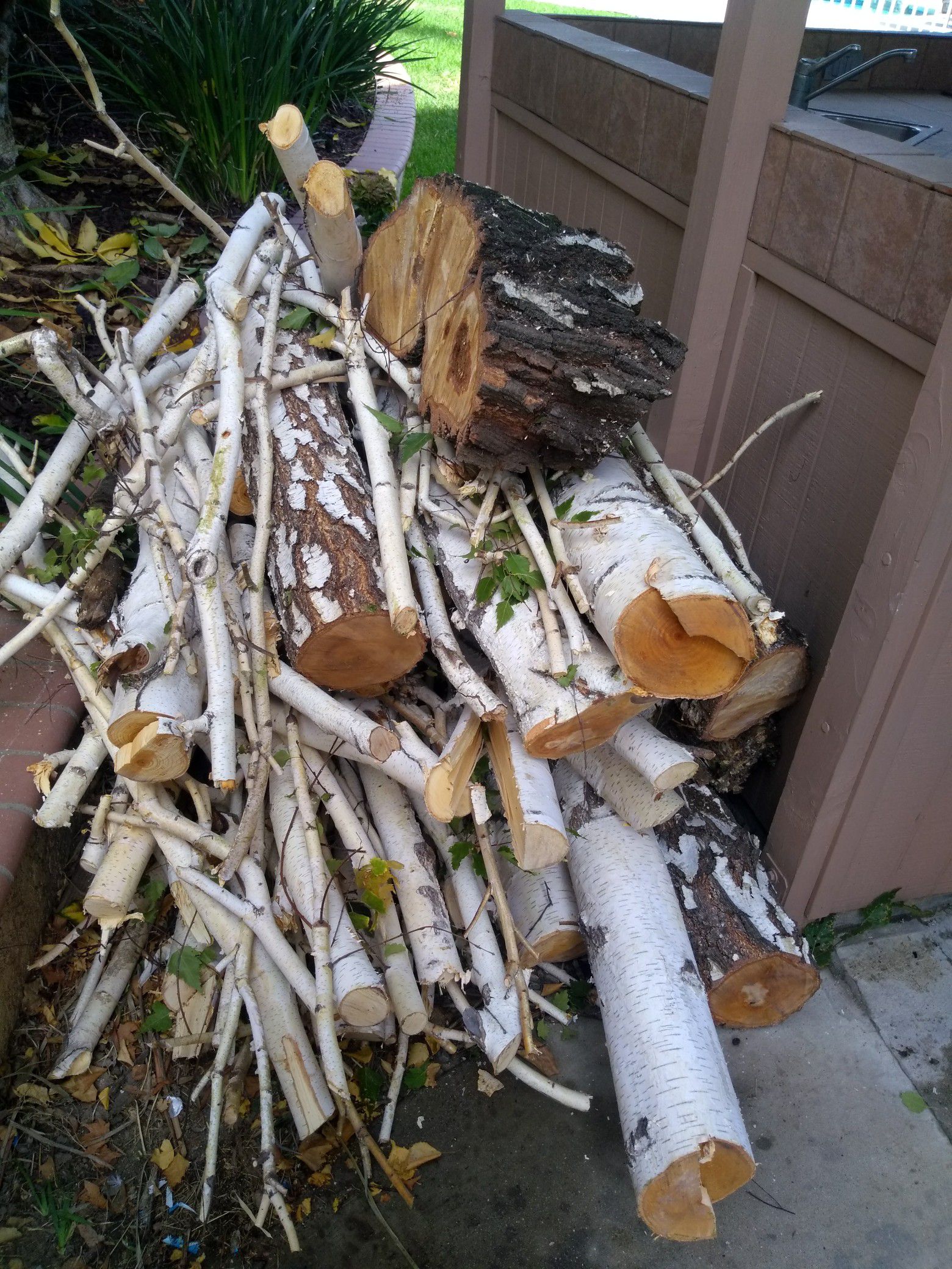FREE pile of Birch wood , truck full