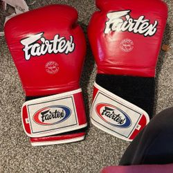 Fairtex Gloves 14oz 