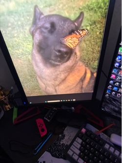 Acer monitor
