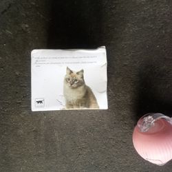 Cat Chase Toy 02 Running Ball Retails For $15.99 Each I Have 100 Of Them It Equals Out To Be $1,500 Before Tax 