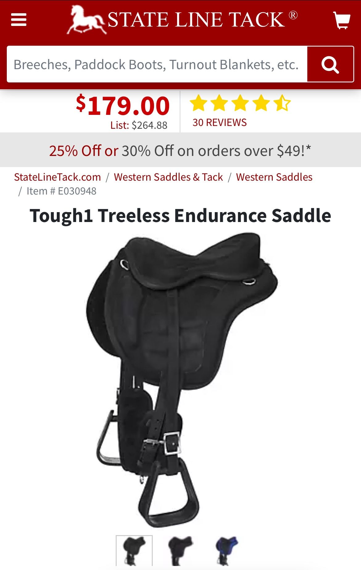 Treeless Endurance saddle