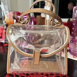 Clear Purse 