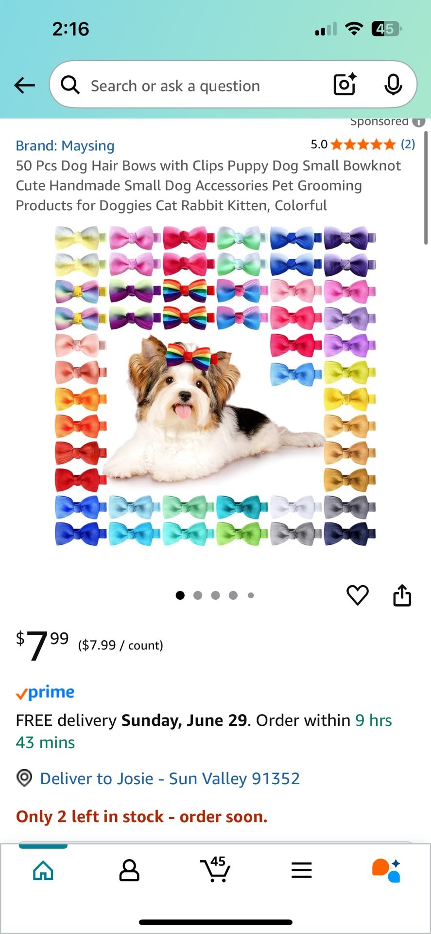 Dog Bows