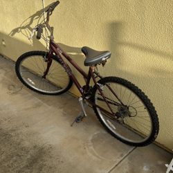 Raleigh M20 Mountain Bike 