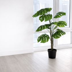 full-sized monstera-style