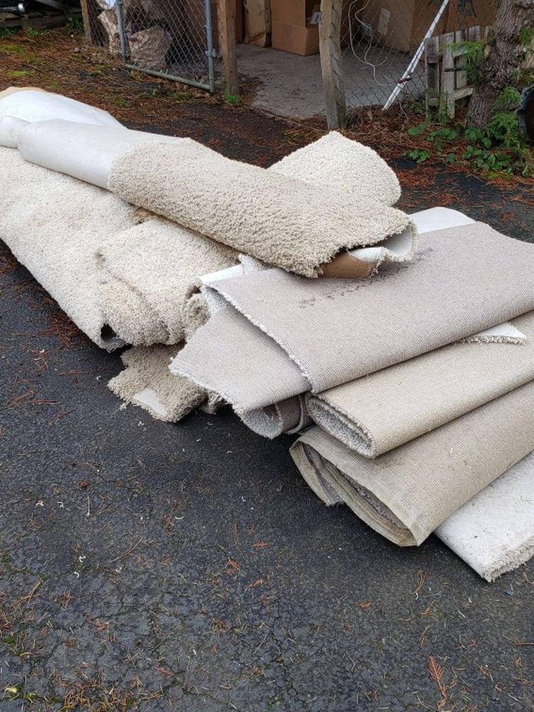 Free Carpet Remnants for Sale in Rochester, WA OfferUp