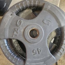 45 Lb Weights For Bar