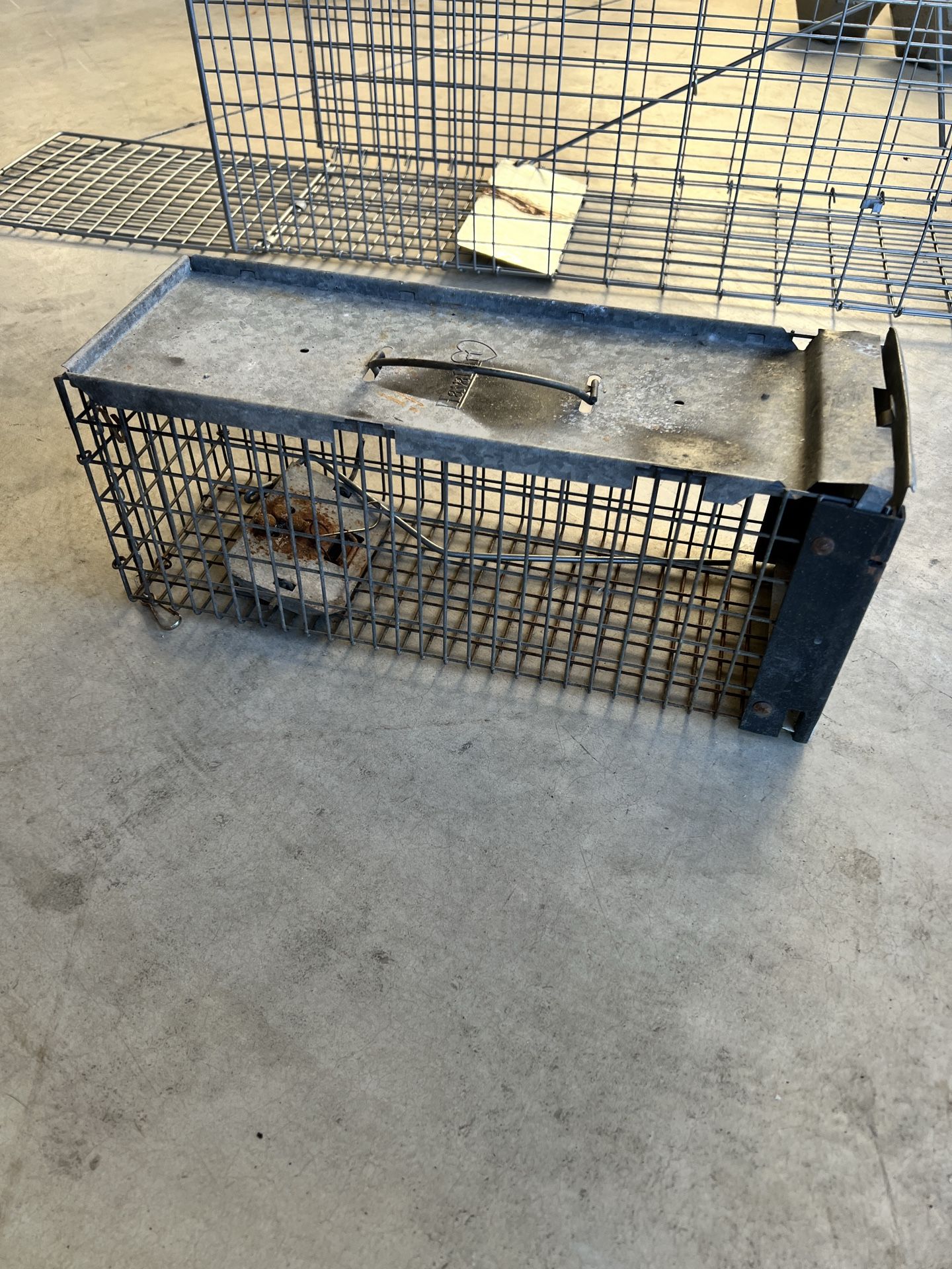 Animal Trap