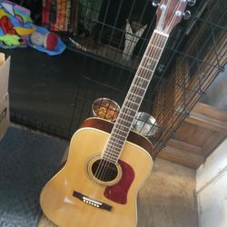 Washburn D-122S  /NA Solid Top And Rosewood Acoustic Guitar  Professionally Set Up