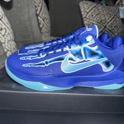 Kobe 5 Xray 