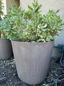 2-pack planters (brown & black)