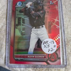 Alvin Guzman