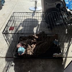 Dog Crate / medium