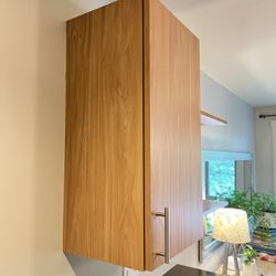 Cabinet & Shelves 