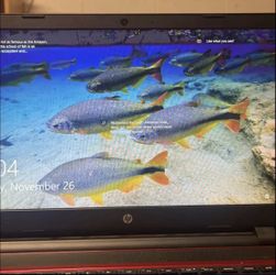 HP Pavilion 2012 Laptop works great