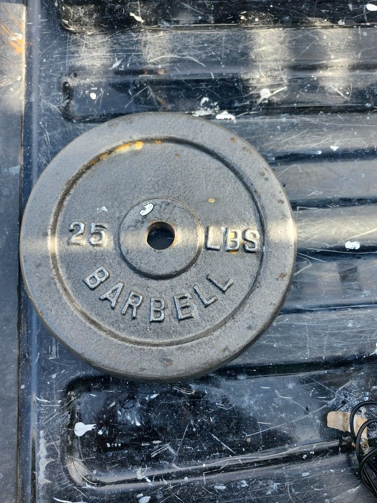 25lb Standard Plate 1
