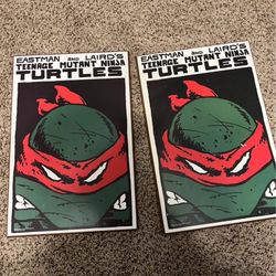 Ninja Turtle Wall Art