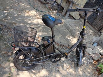 Vendo vaica eletrica