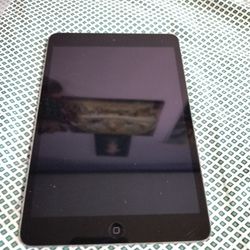 Apple iPad Mini 2, Gen 2, 16 GB, A1489: Nice!! Lot H