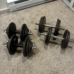 Adjustable Dumbbells - 145lbs Total