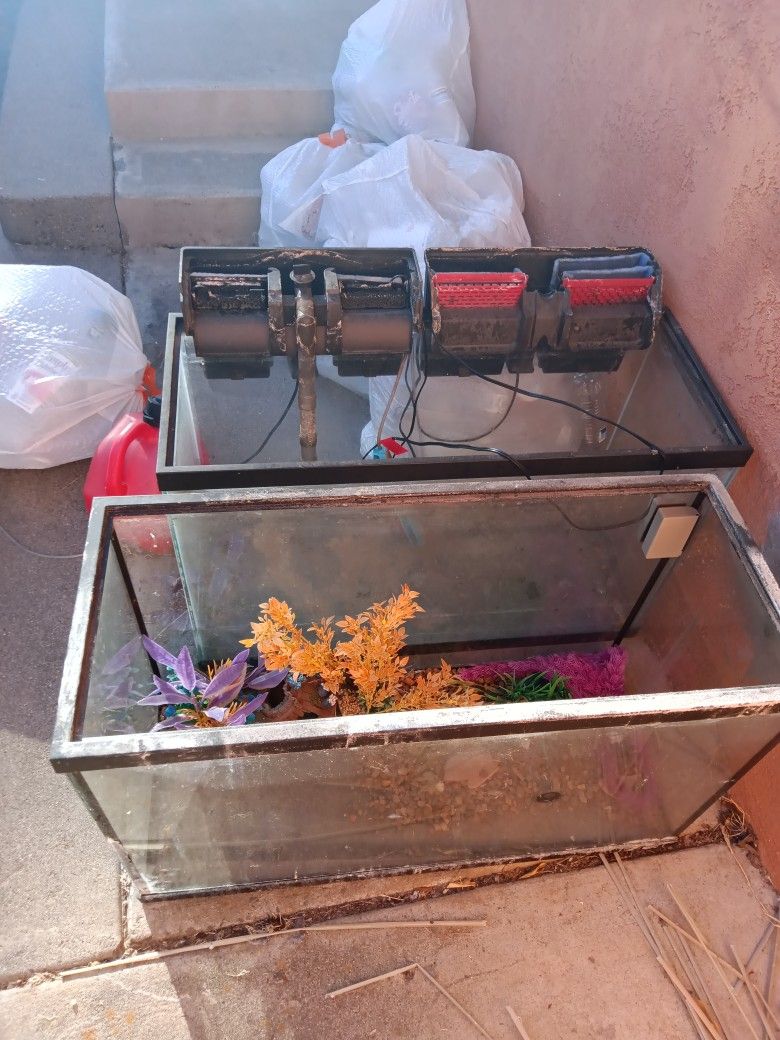 Fish Tanks