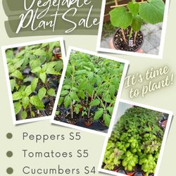 Vegetable Plant Sale 