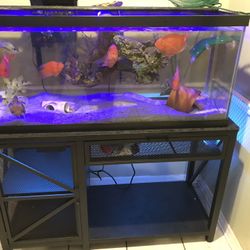 75 Gallon Aquarium With Stand Filter And Accessories 