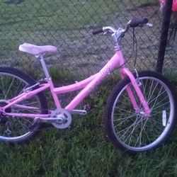 Trek 220 Mountain Bike 24 Inch Wheels Ready To Ride 