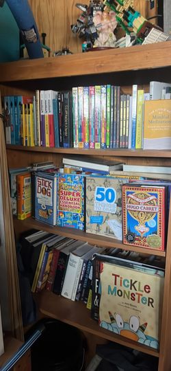 Bookcase with tons of kids and adult books