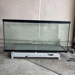 Aquarium Fish Tank