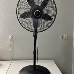 Fan For Sale