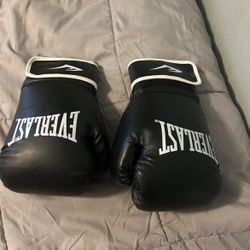 Ever Last Boxing Gloves 