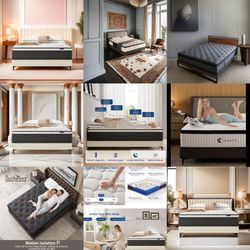 Full twin xl queen king cal king mattress clearance sale