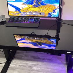 Standing Desk 200$